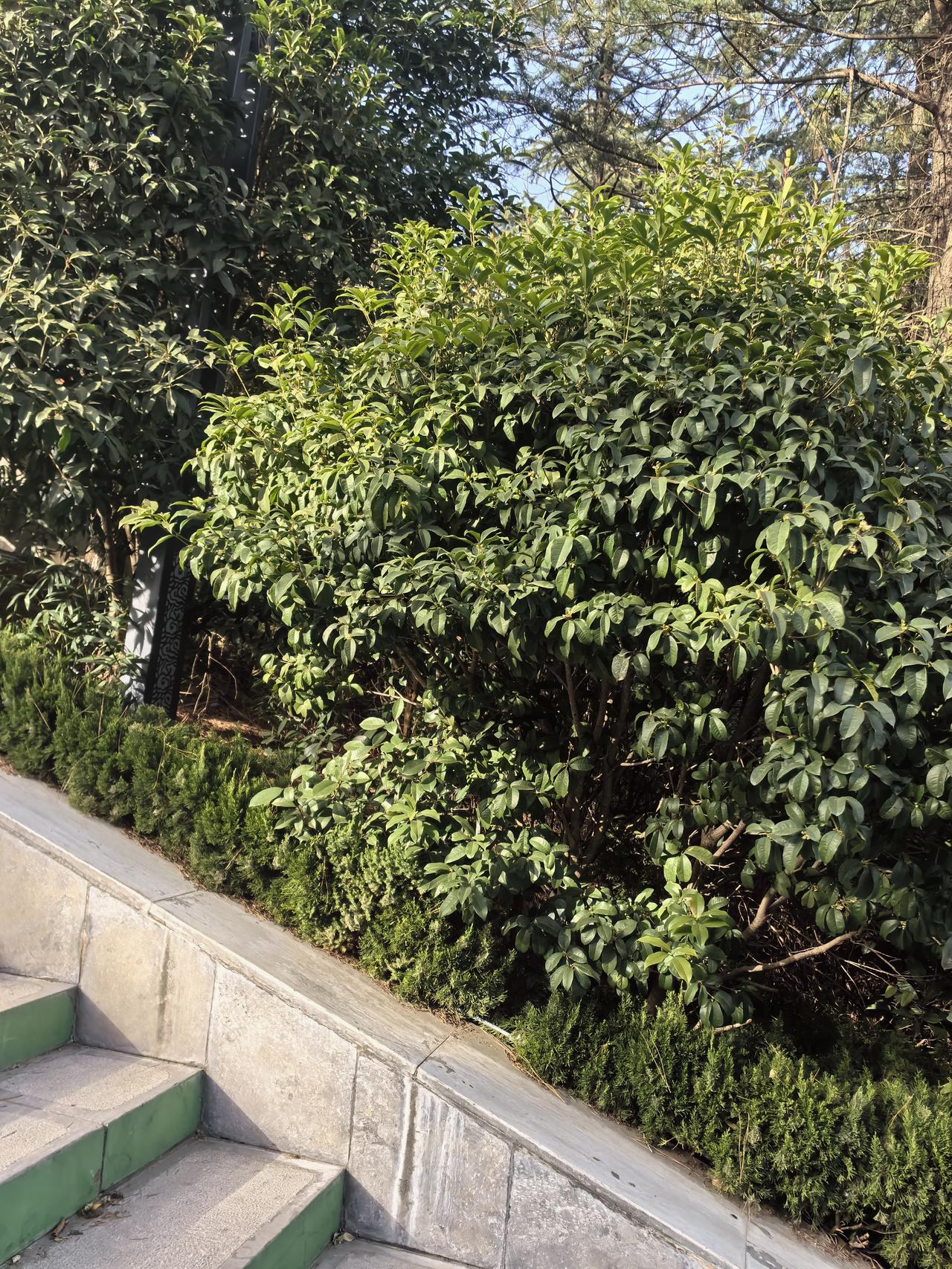 一张中奖彩票面对全国的彩民，而99.9999999999％是失望而归的！[捂脸]