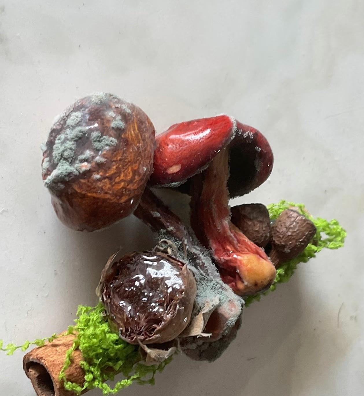 南方伙伴不要买这种冰箱贴了，这种冰箱贴在我们这里因为太干所以不会发霉

去到湿的