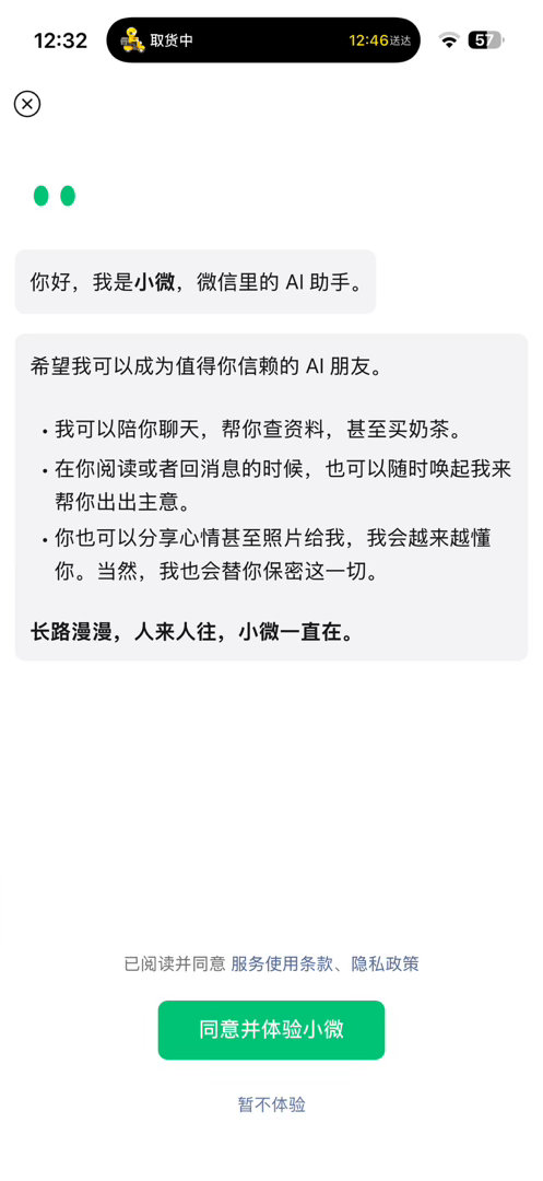 此乃何物 