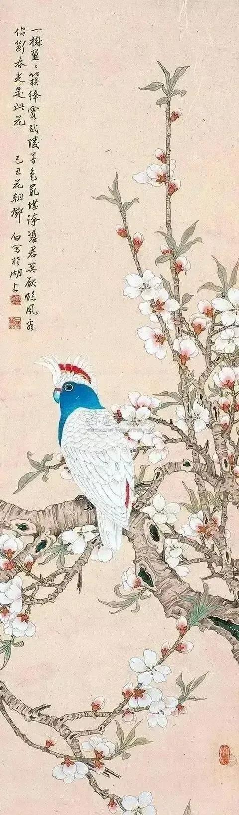 花鸟画作品推荐欣赏
乙巳蛇年    正月廿八