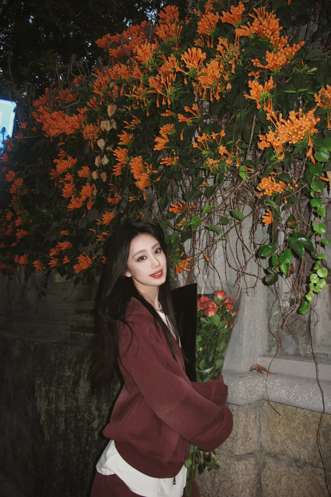 厦门小记💐💐炮仗花开啦