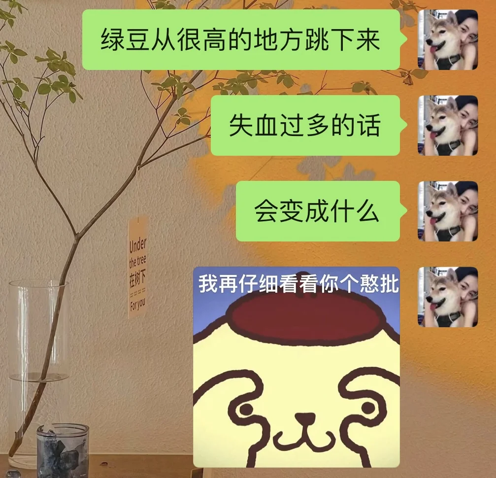 这个贱我必须犯