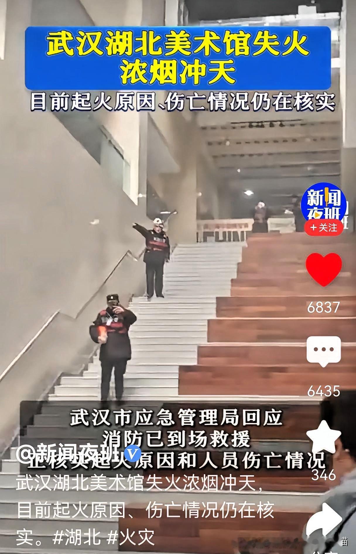 果然不出所料！
湖北美术馆这把火，
烧得网友满脑子都是“巧合到离谱”。

南京文