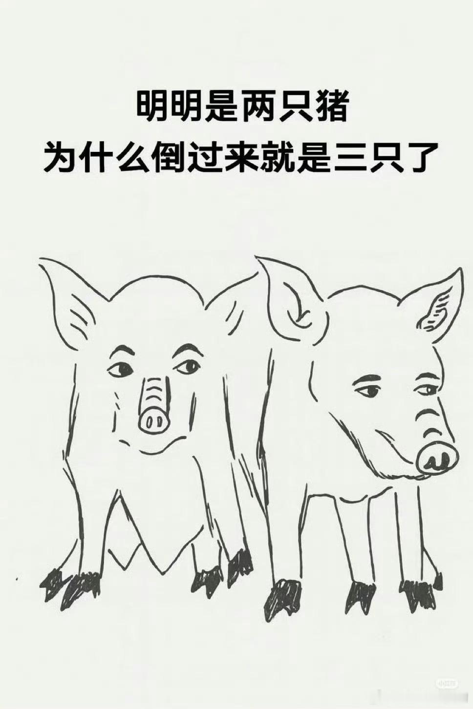 远看是山！近看是？ ​​​