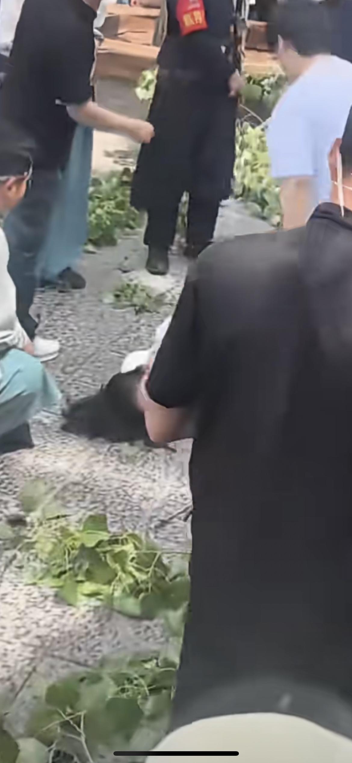 4月18日河南开封万岁山武侠城出事了，一棵大树轰然倒下，至少3名女游客被砸中受伤