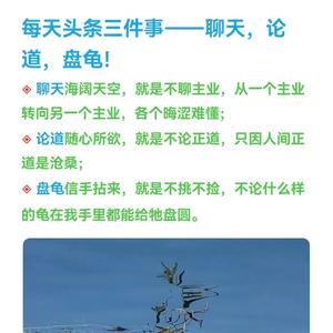 老虎论道