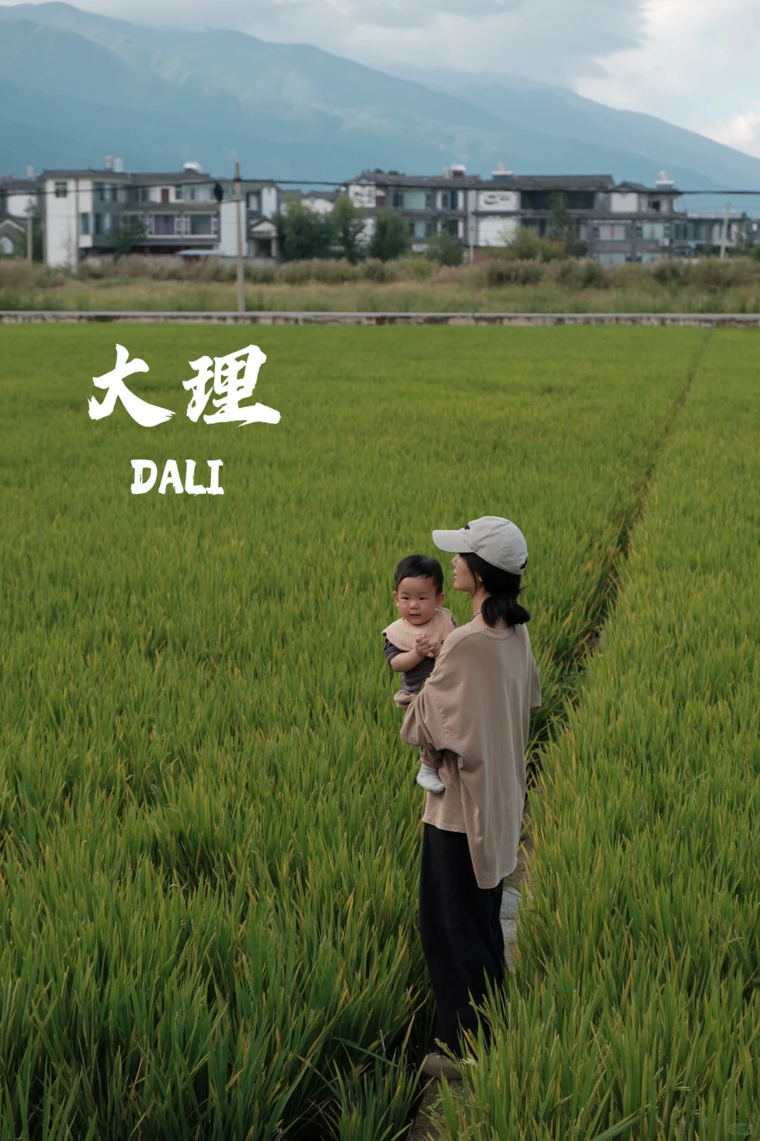 大理｜我们村的稻田