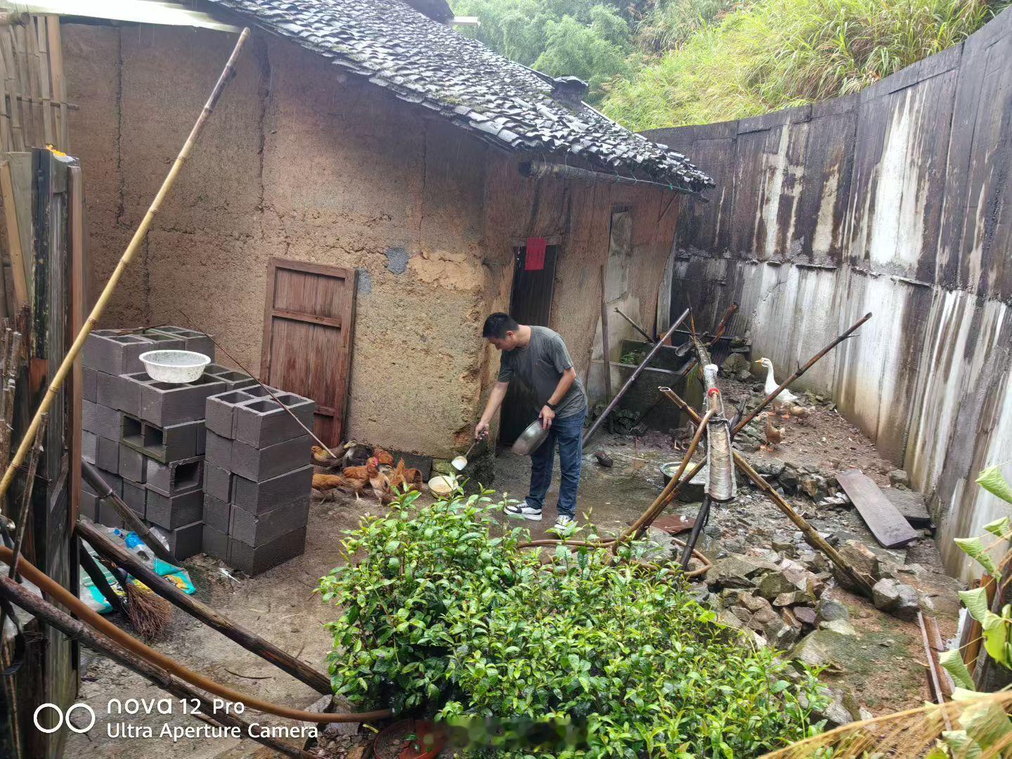 此刻，我在喂鸡，你在干嘛？丽水松阳全力迎战台风巴威