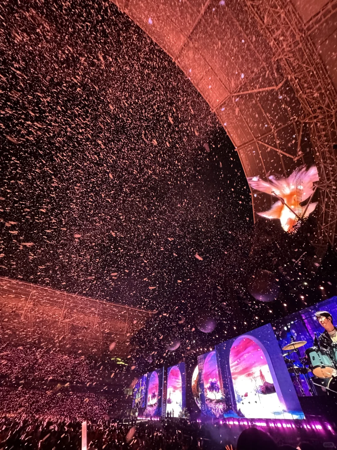 我已见过蕞美的天幕！！！🥹（18张live图版）