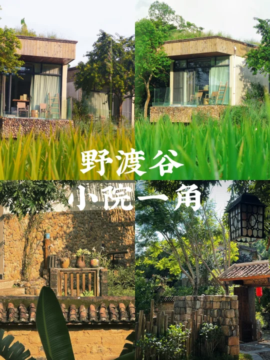野渡谷｜藏着一个超适合放空自己的小院儿🏠