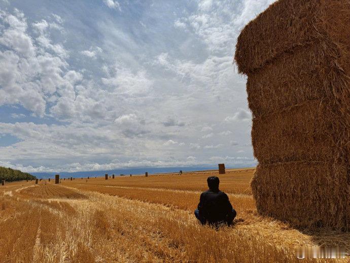 #麦田里的张若昀##张若昀麦田照# 哇张若昀这三张麦田照片和配文真的有点禅意啊！