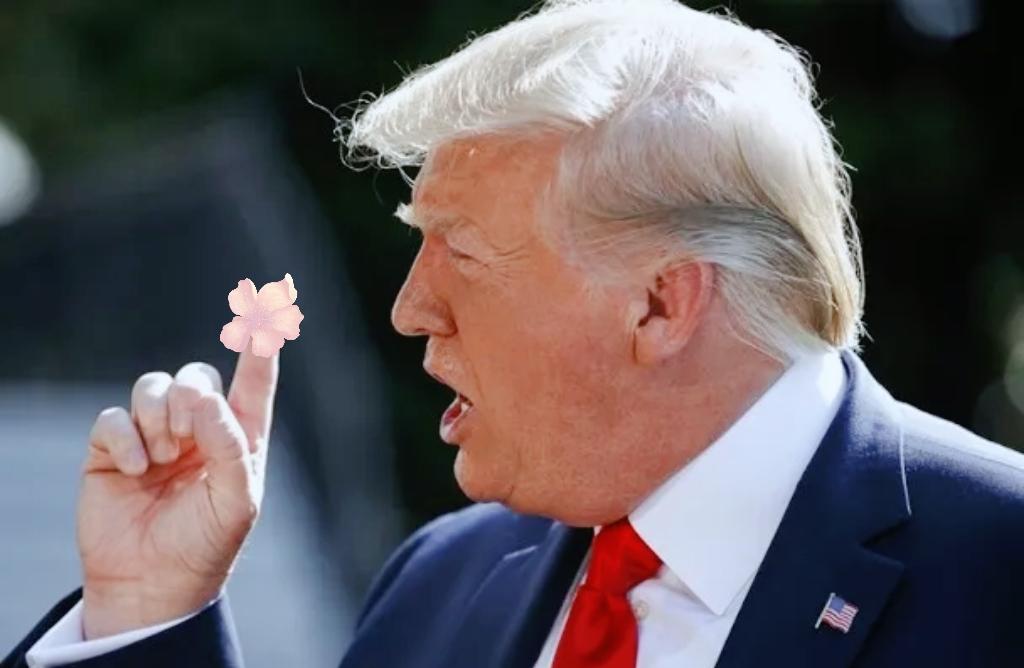 最新消息！美国国会通过的“台湾保证实施法案”，特朗普已经签署成法了～

特朗普签