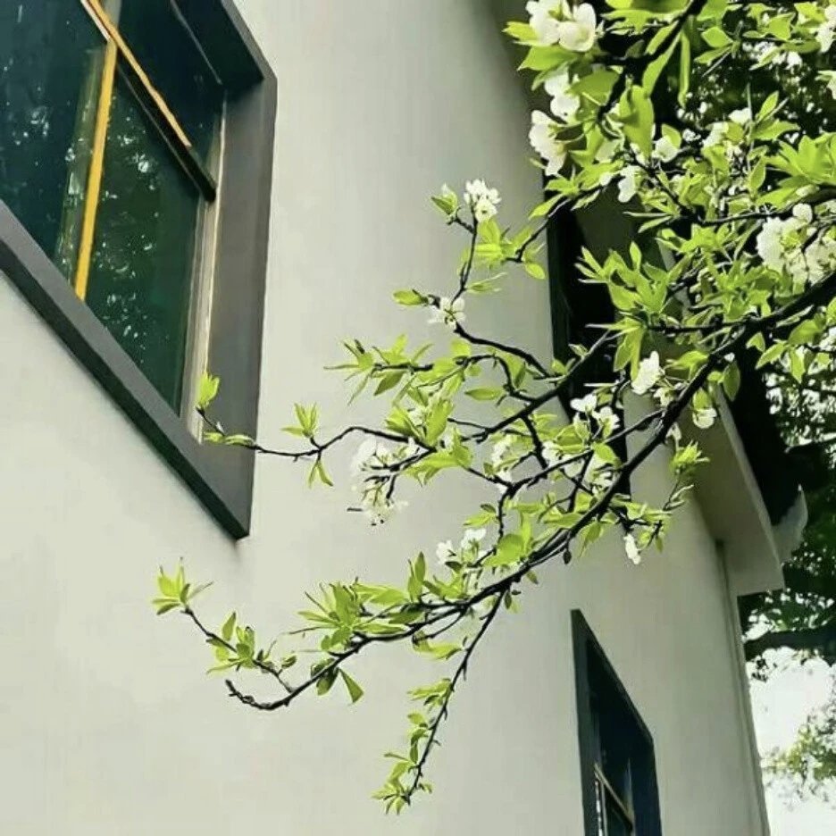 我生命里磅礴的绿，   终成为哗然的春。 