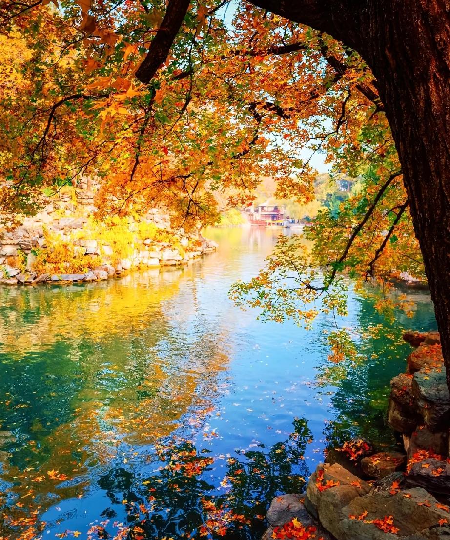 “目标是穿越沼泽地，不是对付每一条鳄鱼”

哎呀，太智慧了。它在教我：
 
保持