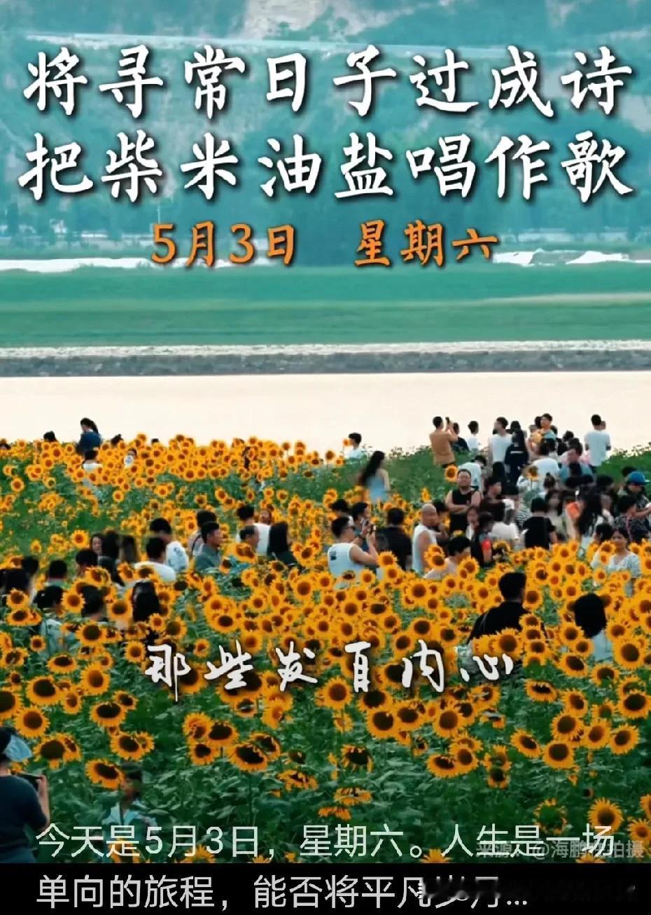 （手机拍摄：南山雪，原创图片，使用请注明出处，首张图片源自新华社，版权归原作者所