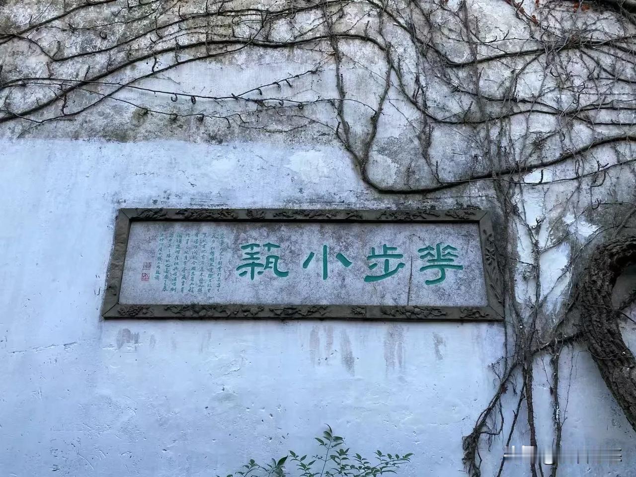 留园小景。古藤待春风。

        刻石＂花步小筑＂，为清代学者，乾嘉学派