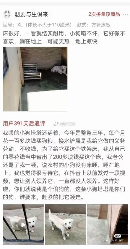 pdd还是帮助了很多人的… 