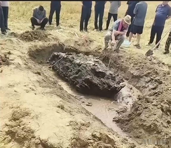 一场深夜雷雨，炸出了河北农田里的一桩离奇怪事，颠覆无数人的认知。
 
6月12日
