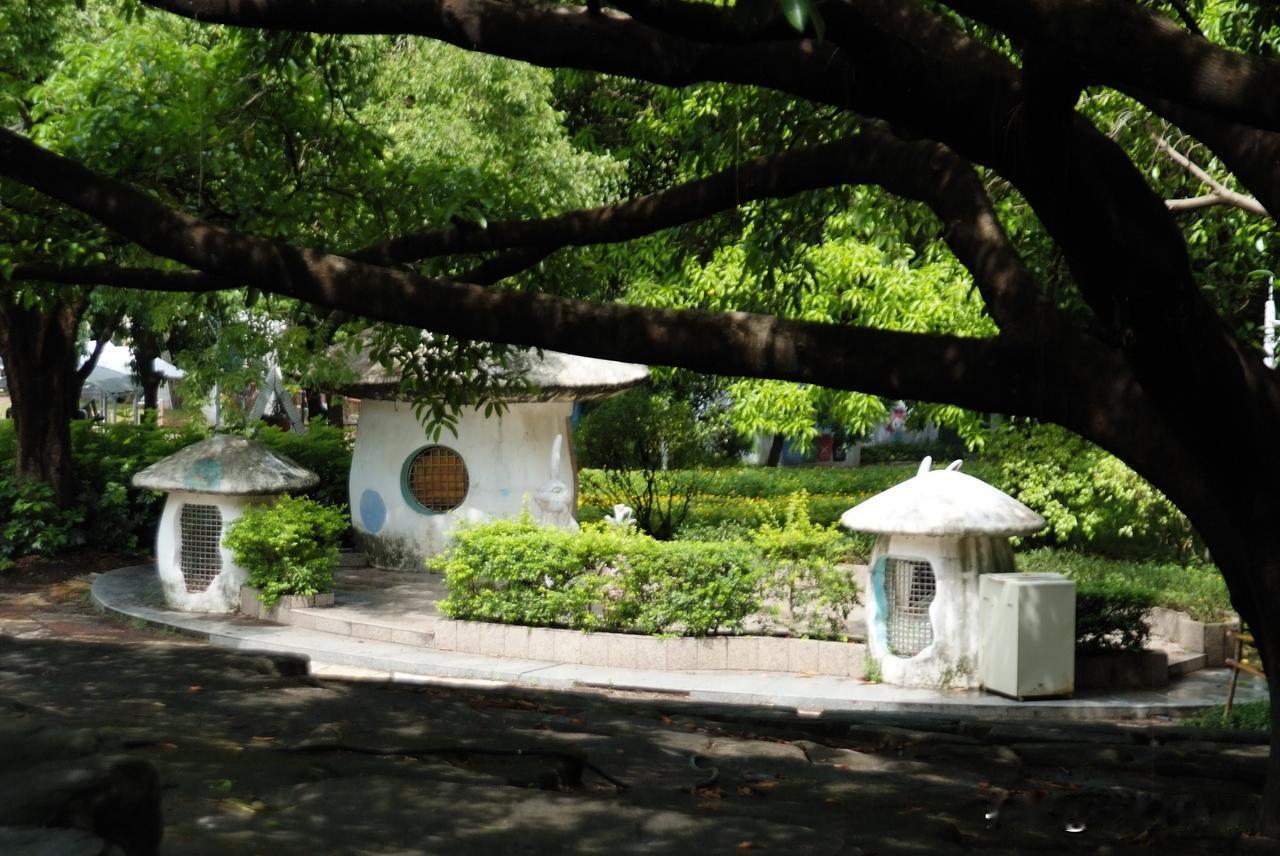 灵芝公园|城市里的小能量场，被绿色包裹的小公园，吸氧发呆好去处！分享一张你最近随