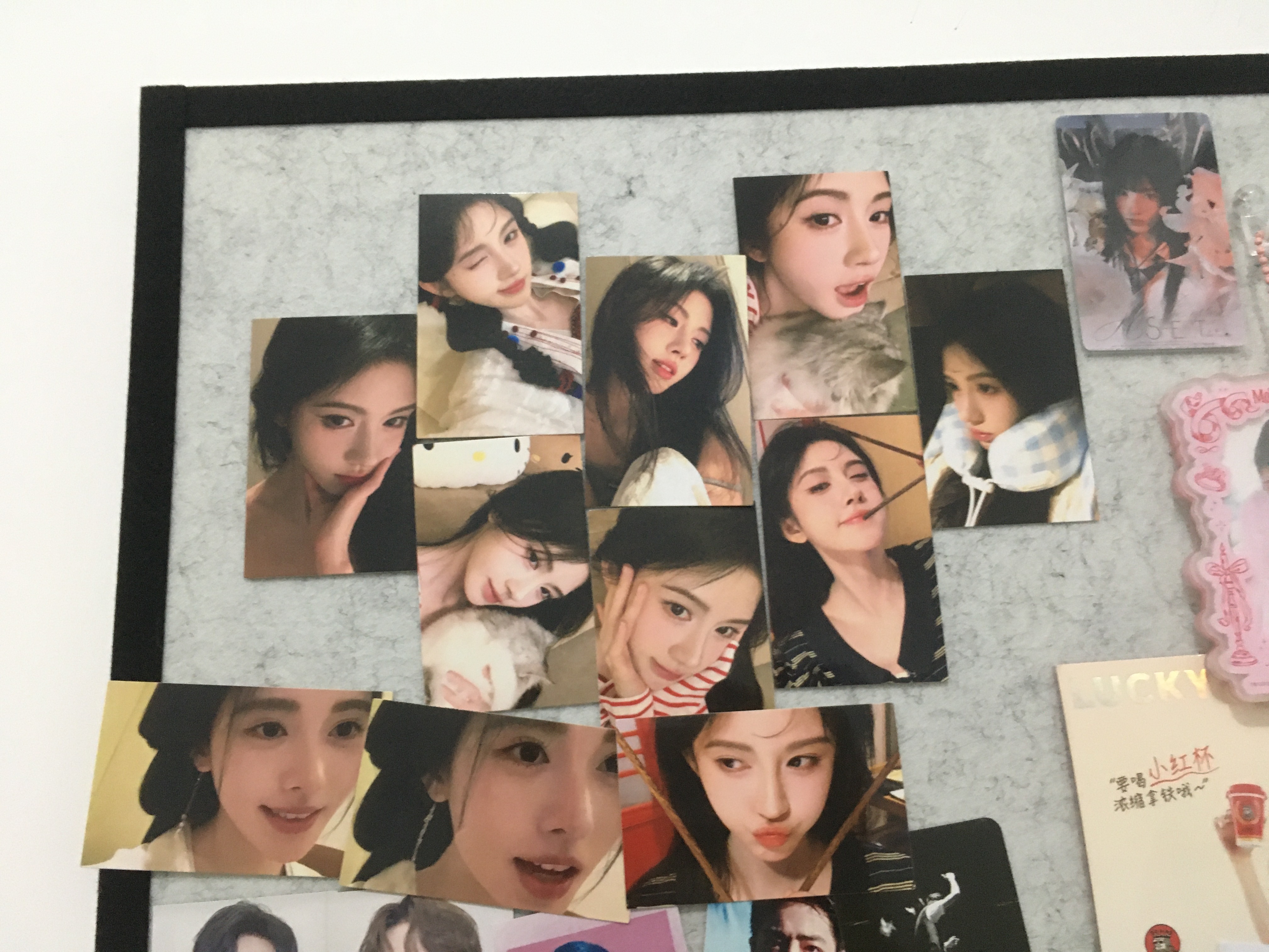 萌物来的 ​​​