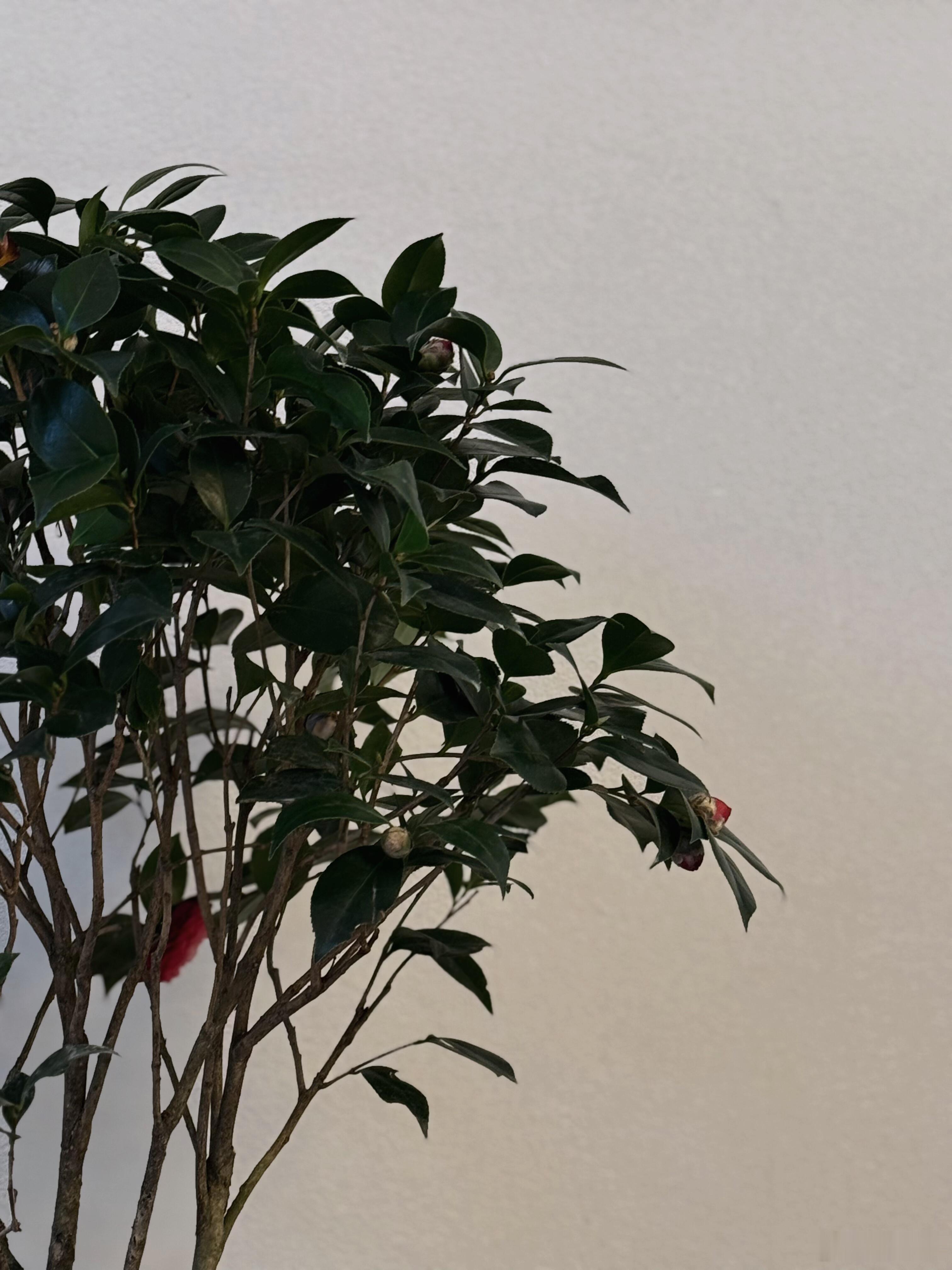 “我每次回顾自己人生中那不为人知的一面，内心就会有一股想哭的颤动。”情感树洞人生