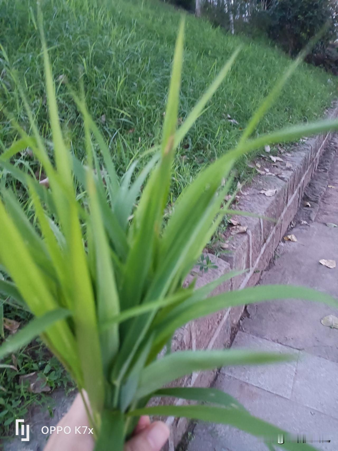 怕热怕冷，不是因为我自己，而是担心流浪猫……