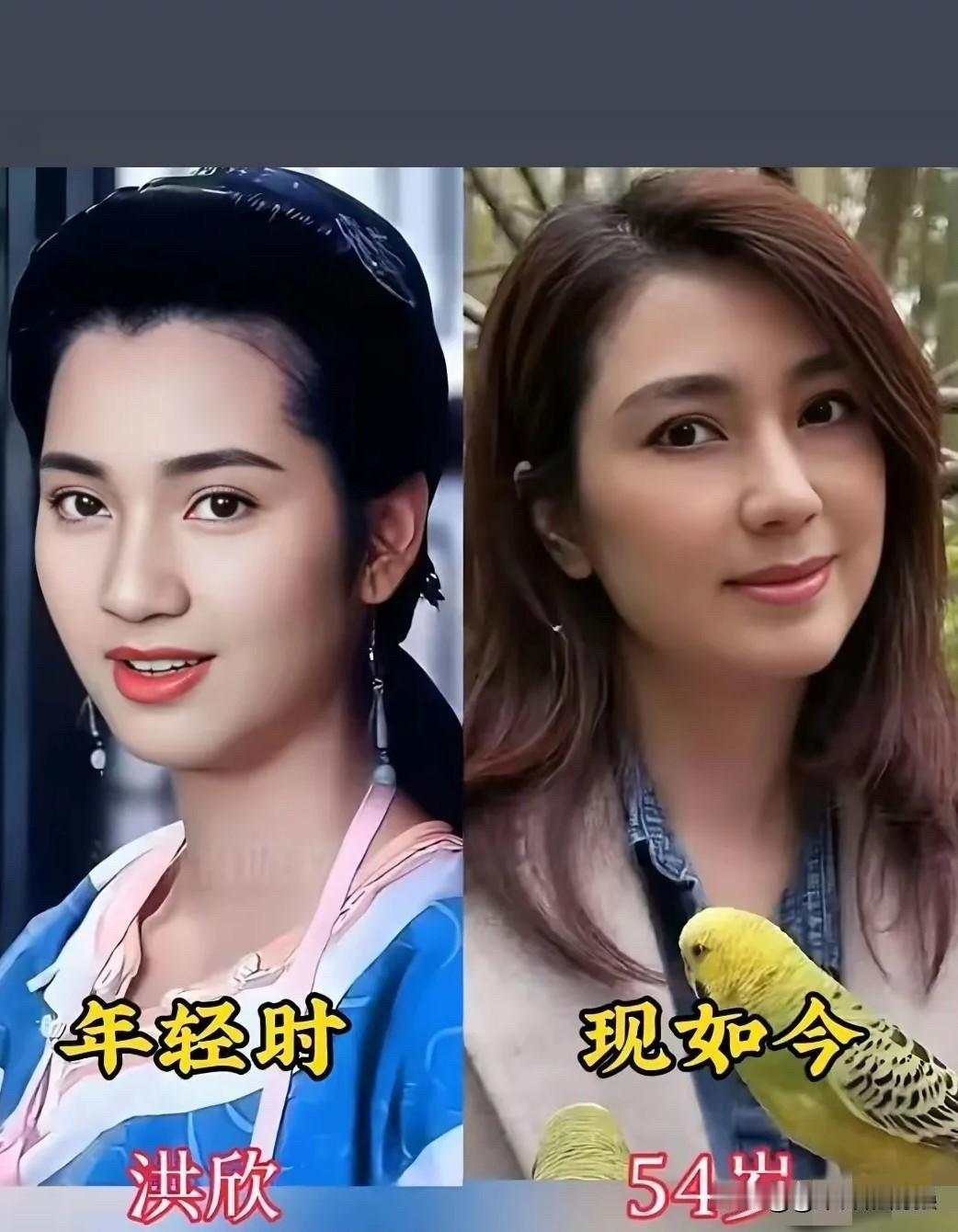 60岁陶慧敏、54岁洪欣、59岁王祖贤……年轻时惊艳时光的女神们，如今都活成了什