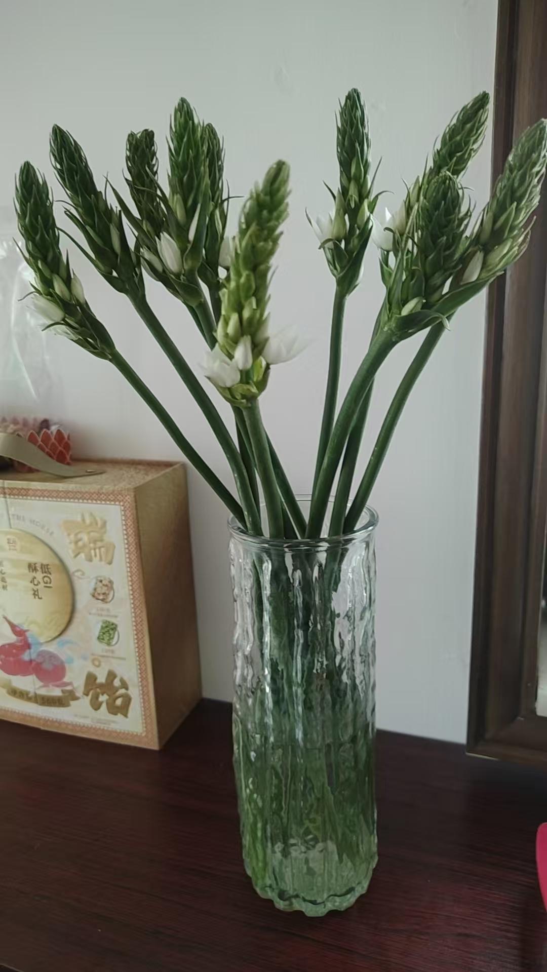 你认识这种花吗？
问了下度娘，这是圣心百合，也叫虎眼万年青。花语和寓意很多，主要