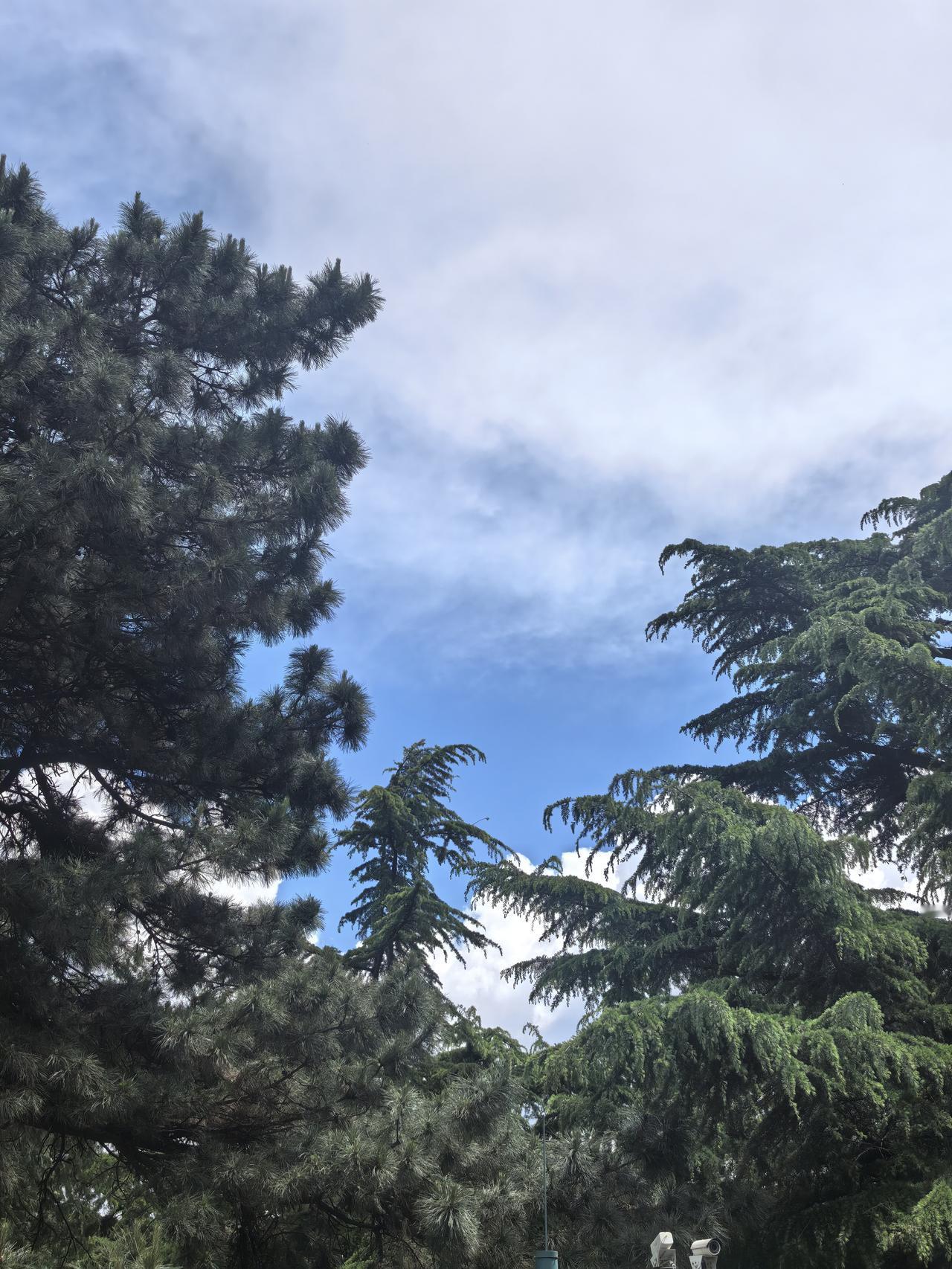 咱们农村人牛人就像河床里的沙子有的是。有的人嘴上牛，有的人办事牛，有的人财运牛，