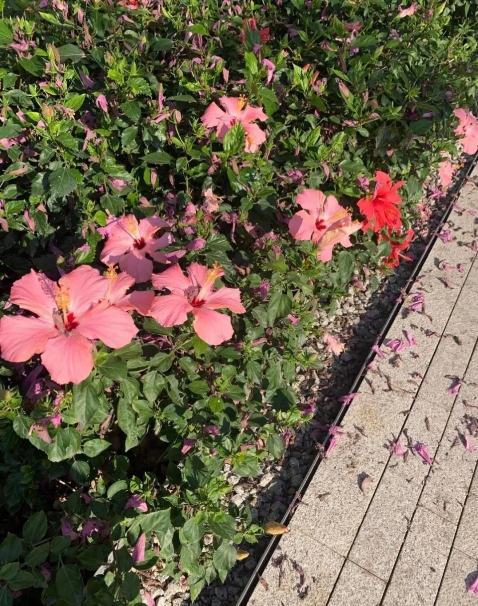 保持清醒，保持热爱，奔赴每一个日常。 