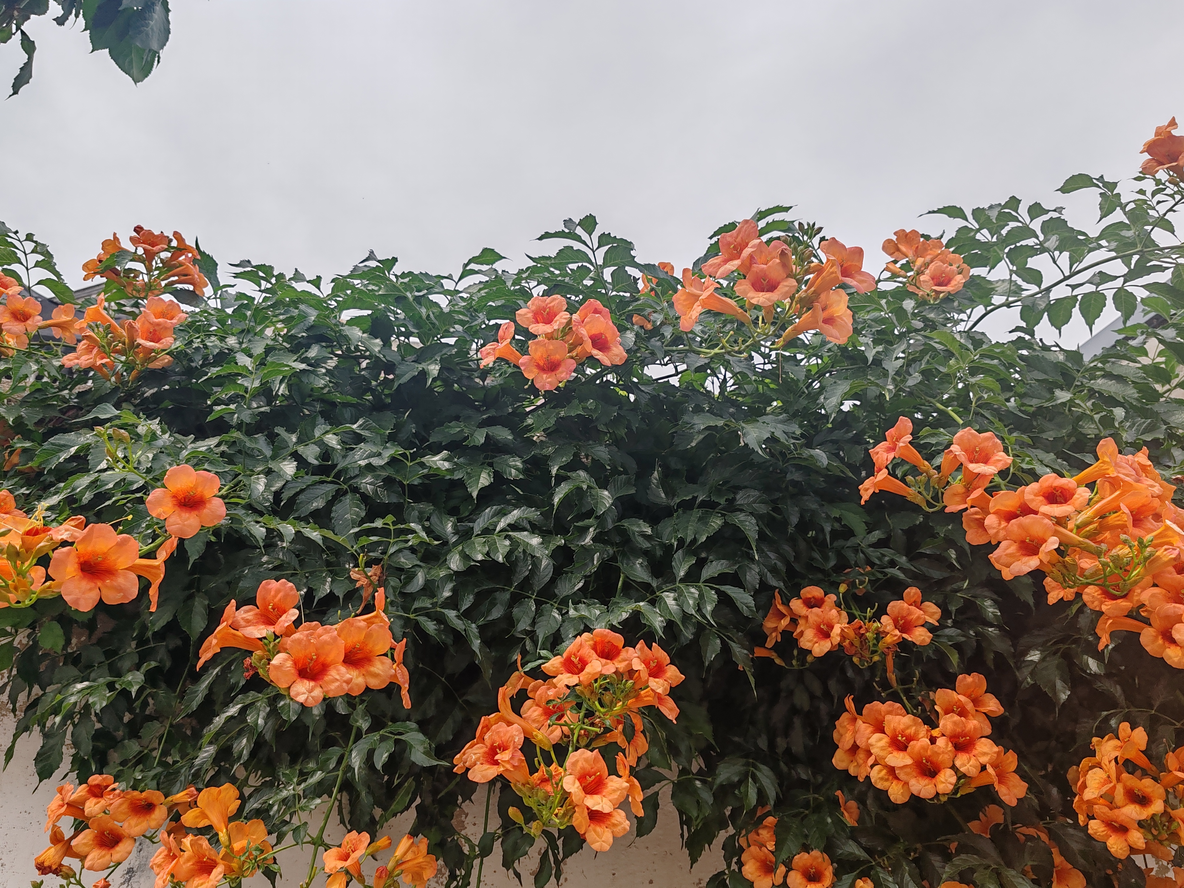 根据水利部的消息，自 6月1日 起，我国已全面进入汛期，其中南方地区更是进入了降