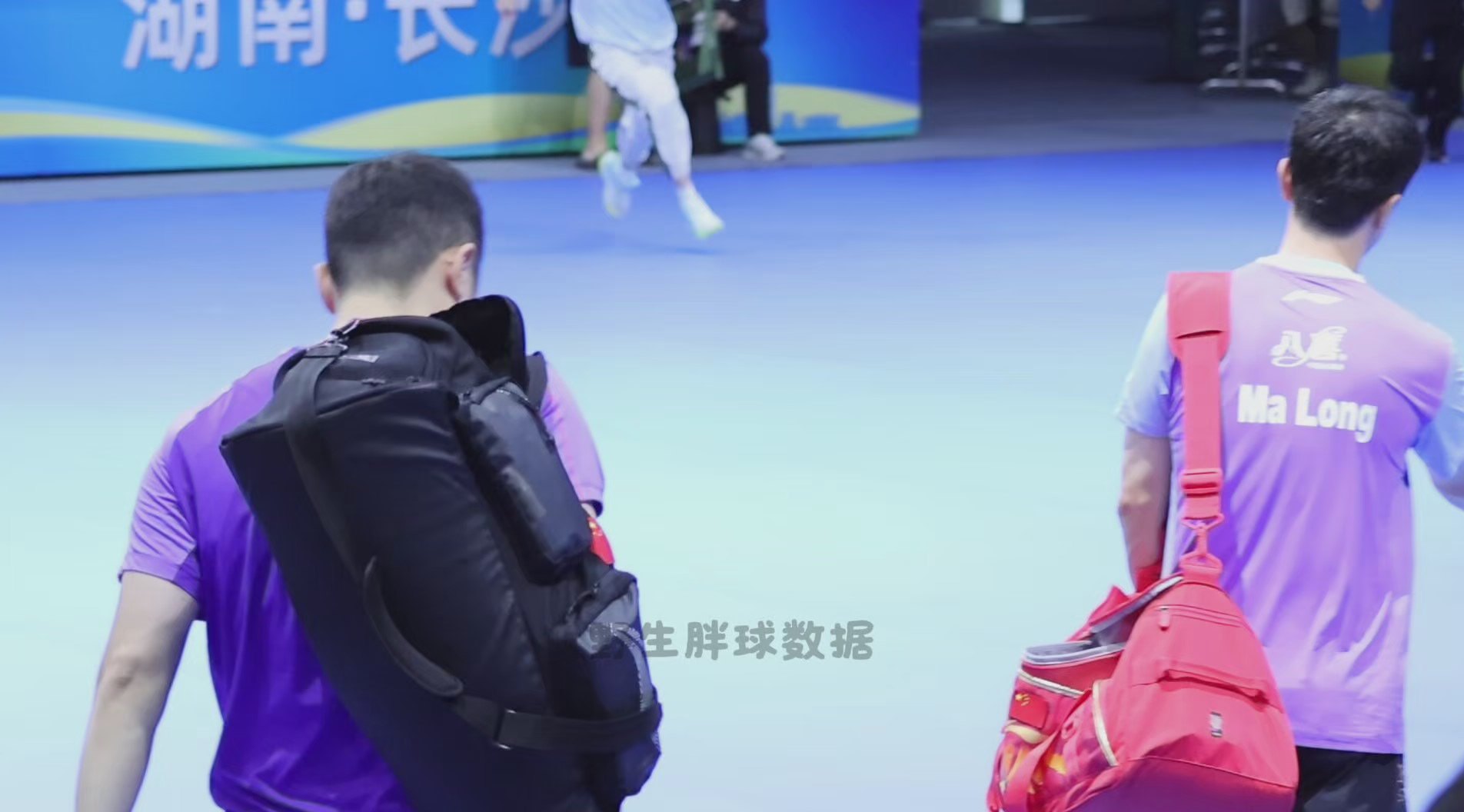 马龙许昕离场有观众冲进场 这种行为难道不应该批评，不应该被教育？请不要再说什么勇