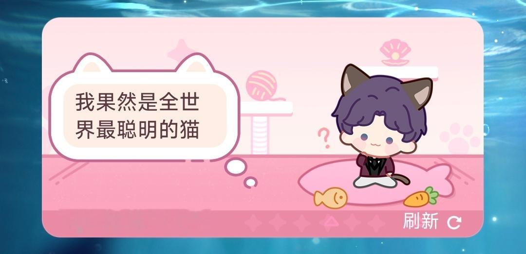 全世界最聪明的猫