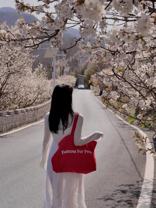 看樱花🌸别去人挤人了 | 这里人少还免费🆓