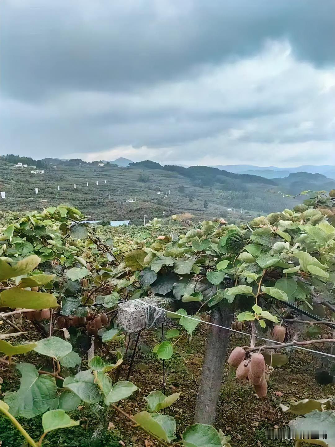 遇到给你介绍工作和对象的人，就好好珍惜吧！现在这年头，干啥都不容易。赚钱难，打工