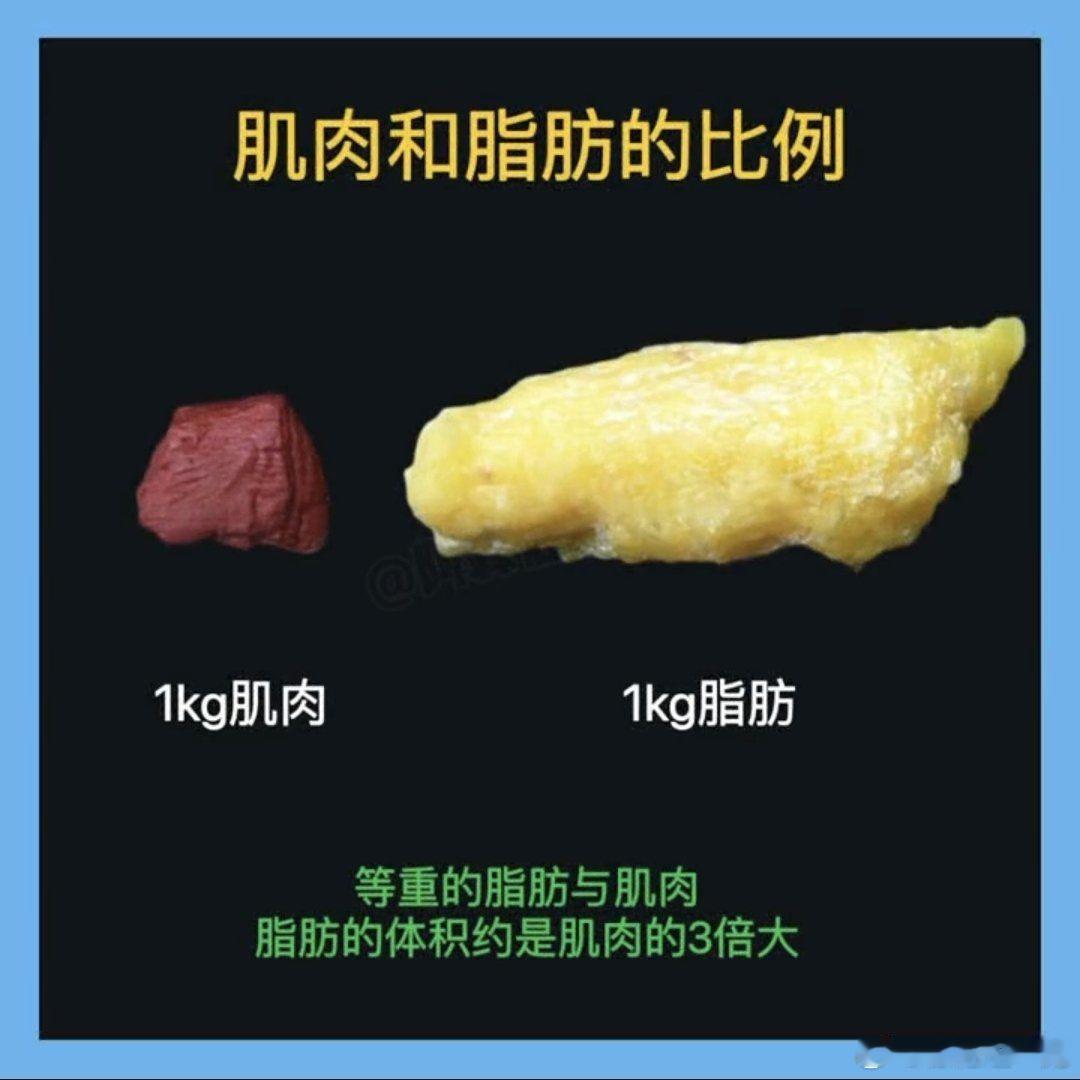 金靖腰围瘦到60cm 金靖称减重4斤全是脂肪 减掉4斤脂肪，听起来容易，做起来挺