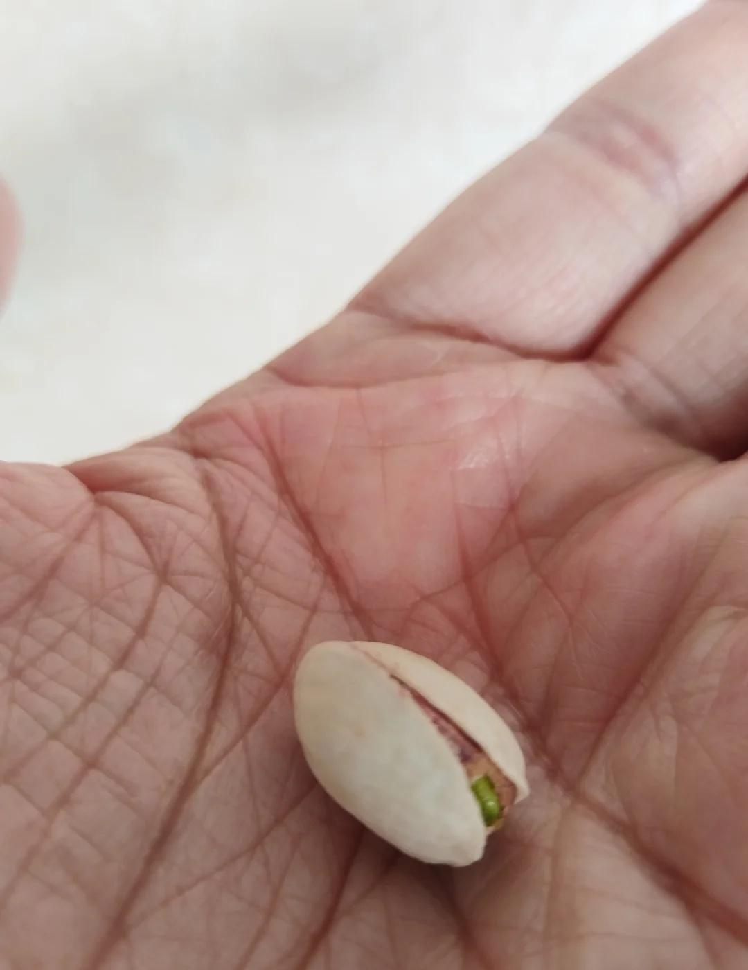 一颗开心果崩了一W个大洋的故事…
记录吧就现在 开心果 种豆得豆种瓜得瓜 没有牛