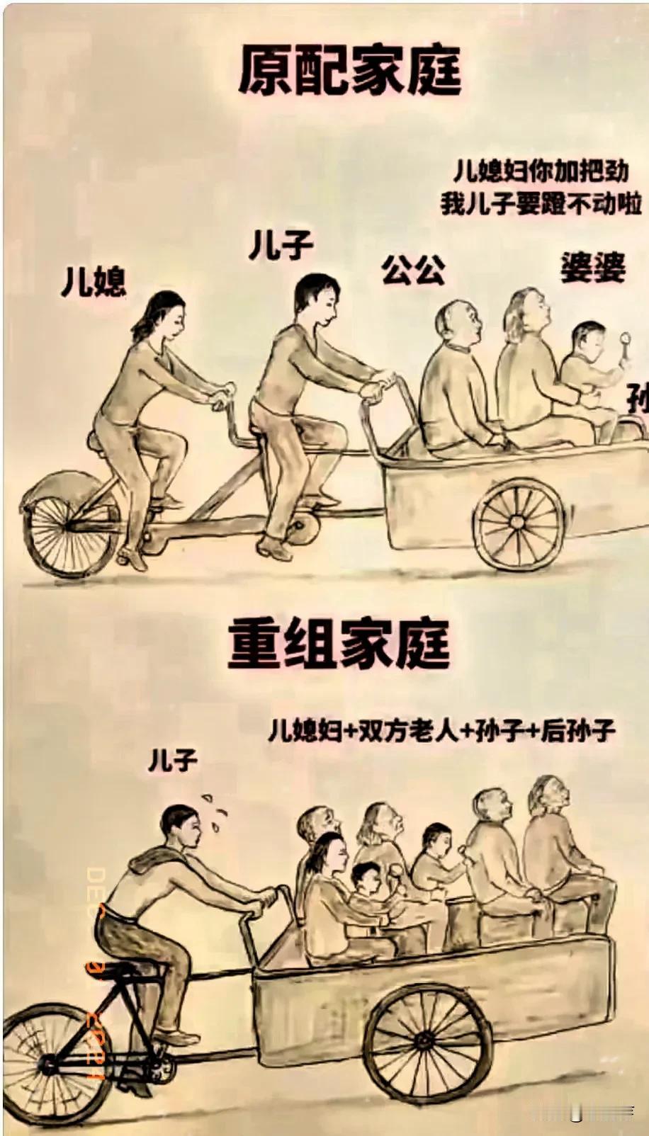 原配家庭VS重组家庭区别原生家庭的印记 重组家庭 原生家庭