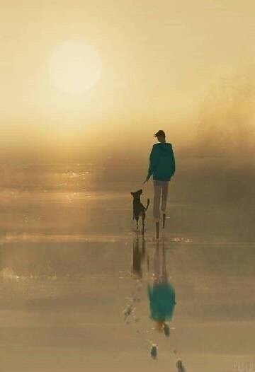在逆风里把握方向，做暴风雨中的海燕，做不改颜色的孤星。——余光中  好书一大摞的