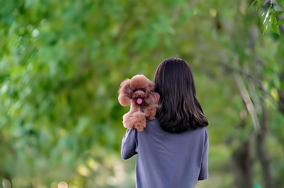 家庭和睦的关键，是这五条“相处之道”：

家庭本应是港湾，但往往最亲密的人，反而