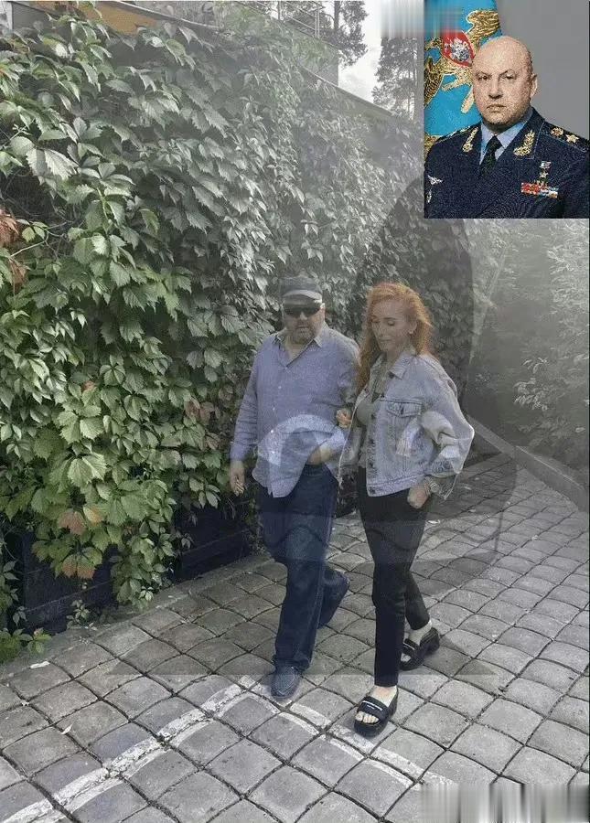 猪猪将军看起来状态相当不好。

可能他在痛苦地等待一场意外，说不定哪天就被掷出窗