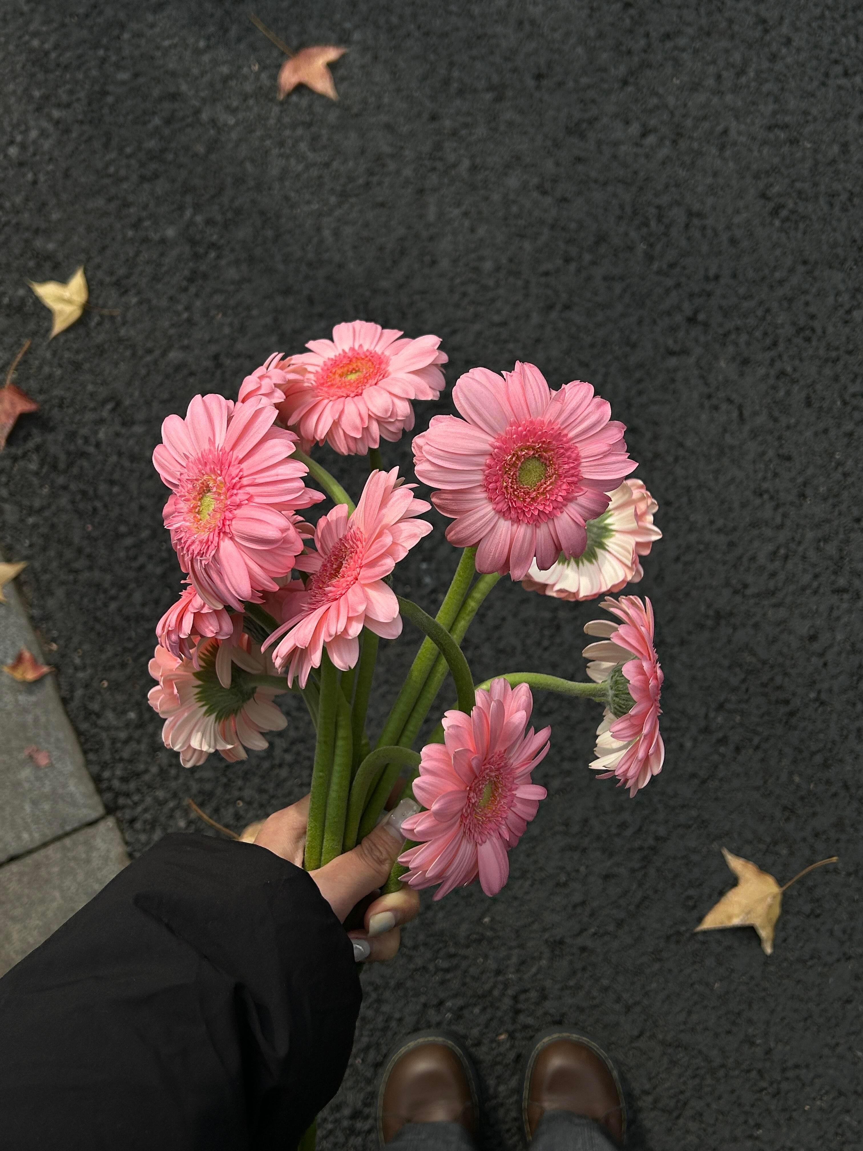 刷到就是要走花路啦🌸 ​​​