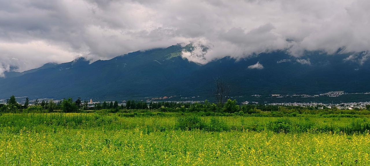 苍山一景