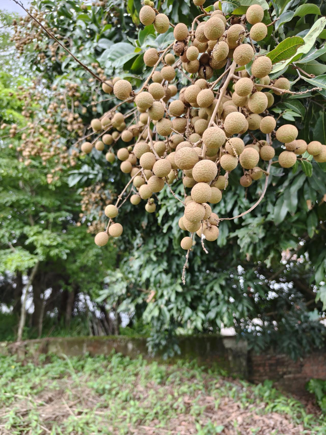 千辛万苦追逐奋斗” 是一个充满力量感的短语，它生动地描绘了为达成目标而 **主动