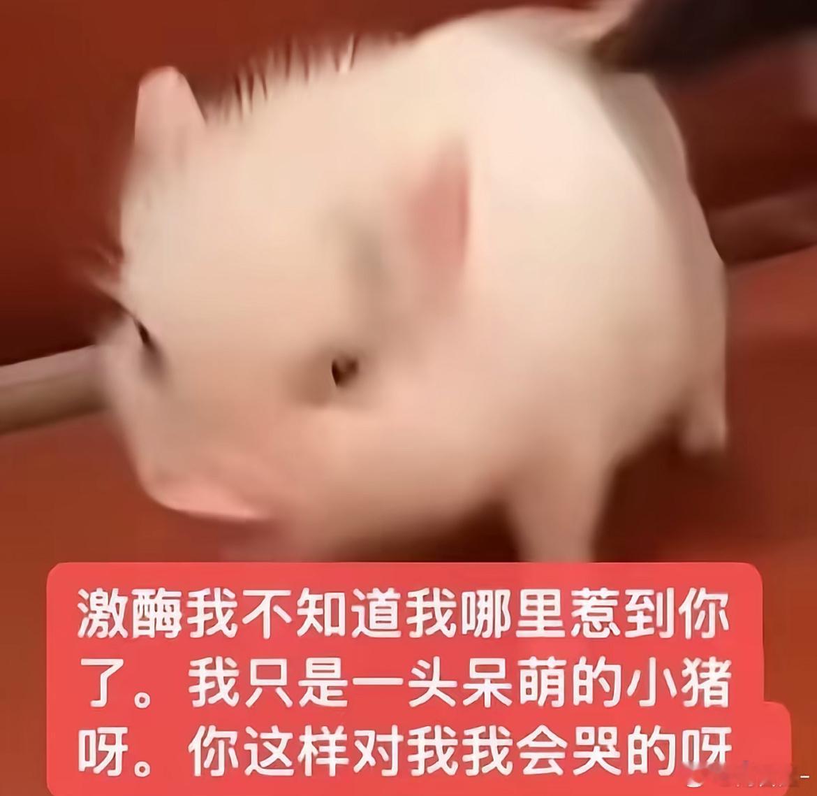 刘铮今天： 