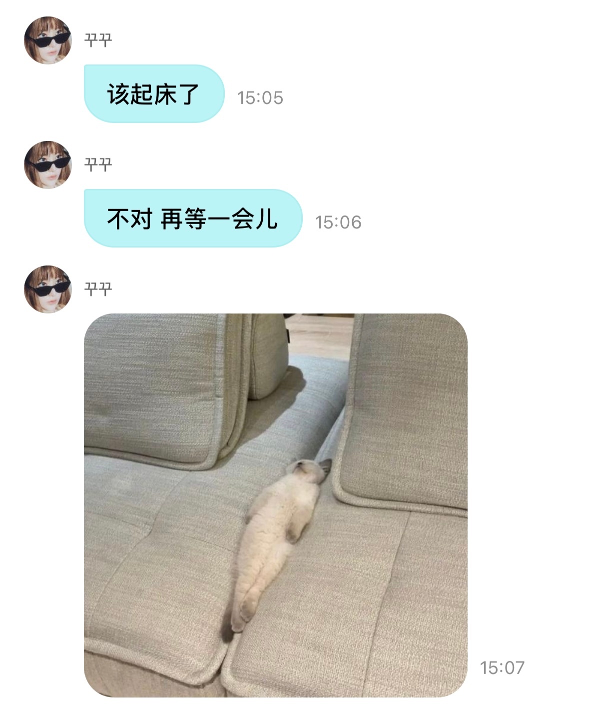 猫猫赖床😖🫳🫳 