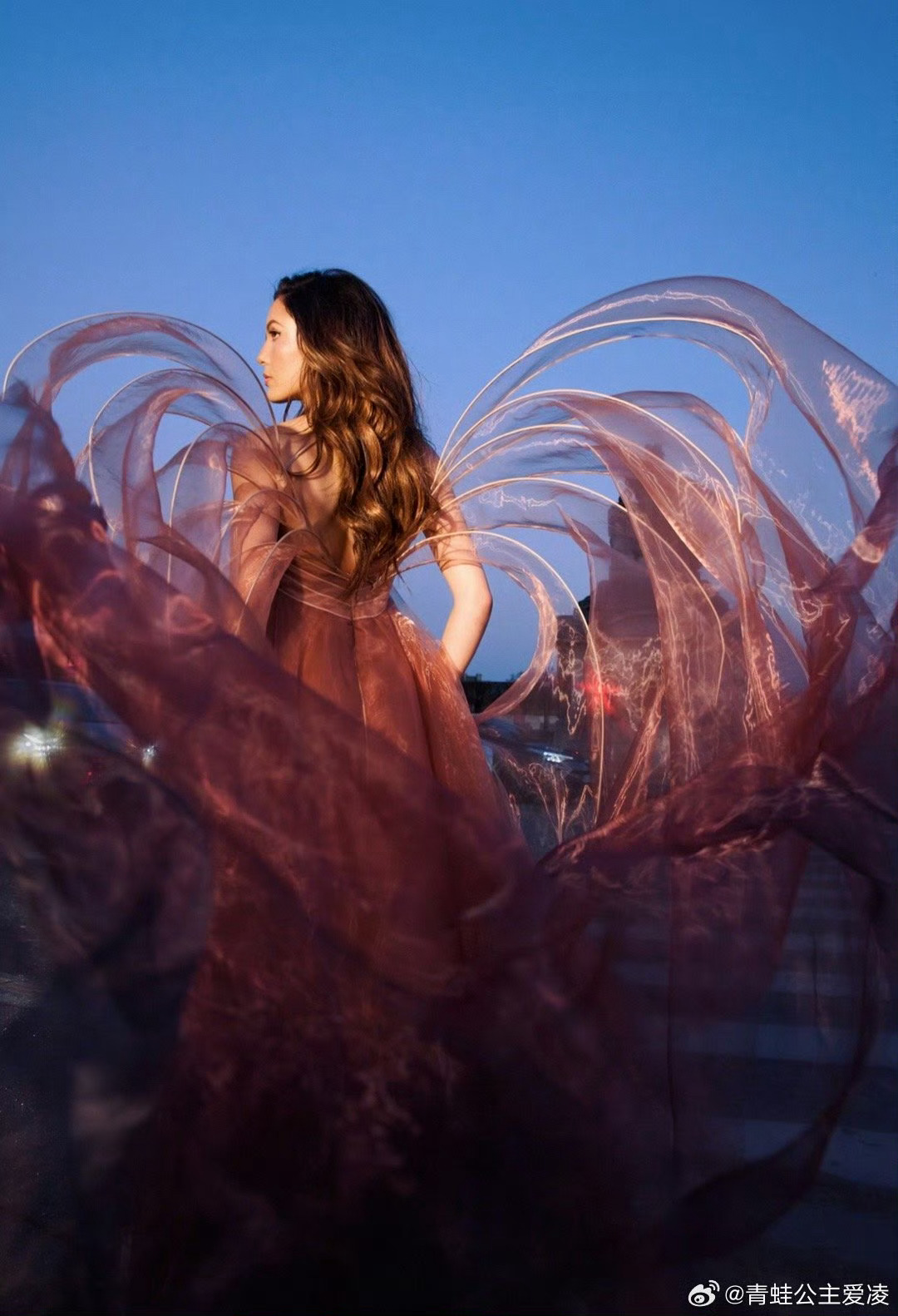 #谷爱凌亮相巴黎卢浮宫晚宴##谷爱凌翅膀仙女裙太美了#