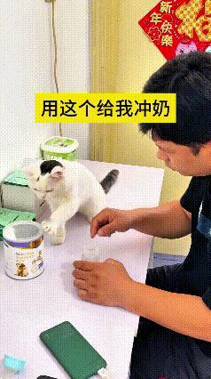 我看了好几遍这个视频，越看越稀罕🥰
乖乖嘞这小猫也太灵性了，小手摸着奶粉罐、又