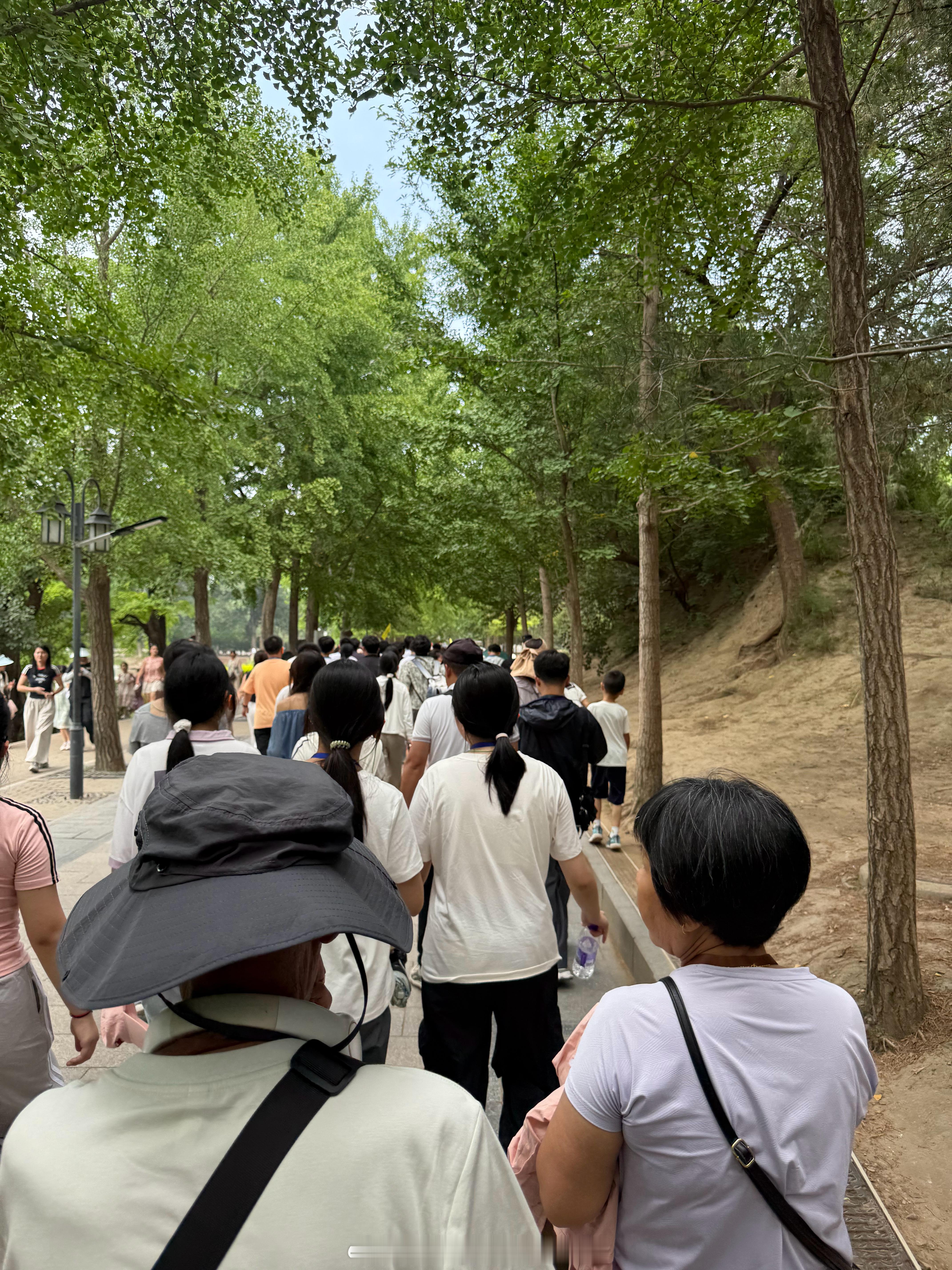 圆明园遗址，温度不高但依然很热感觉淡季来人会少很多，暑假天热人多生活手记