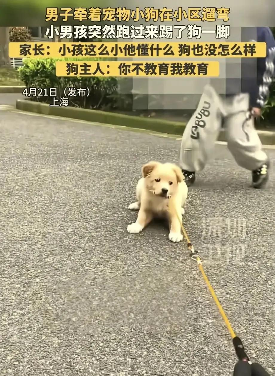 上海，男子牵着小狗在小区遛弯时，突然一男孩跑来踢小狗一脚。他问男孩: “你刚刚踢